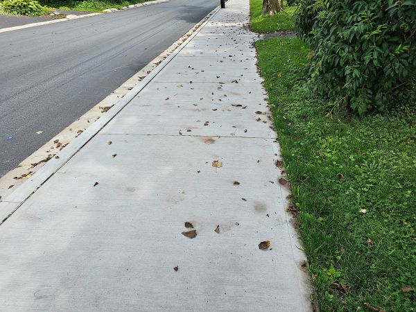 Cost of Sidewalk Renovation in Greeley