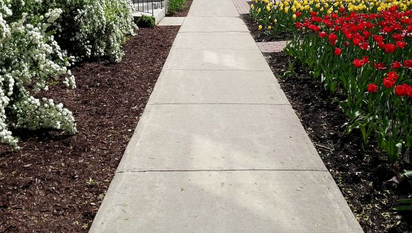 Cost of Sidewalk Slab Replacement in Greeley
