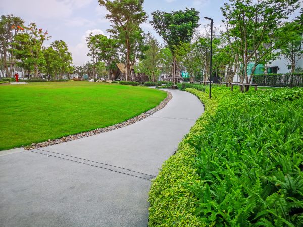 Cost of Cement Walkway Service in Greeley
