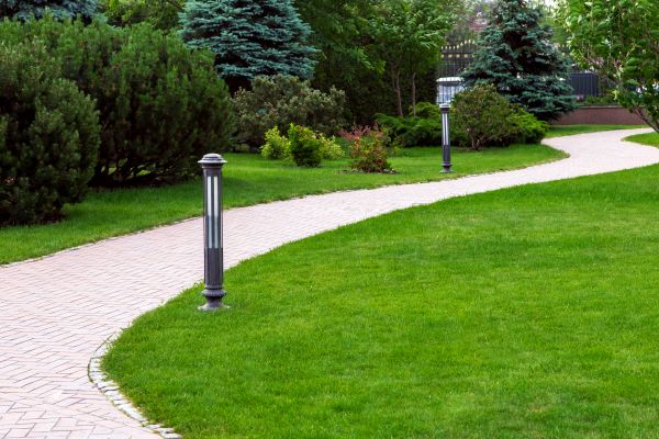 Cost of Backyard Sidewalk Installation in Greeley