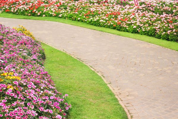 Cost of Concrete Walkway Service in Greeley